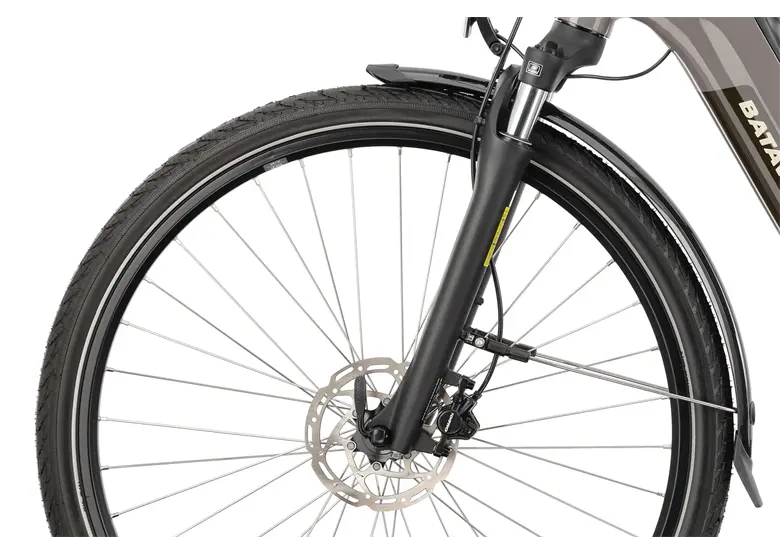 Rower elektryczny BATAVUS Altura E-Go Power Plus - obrazek 5